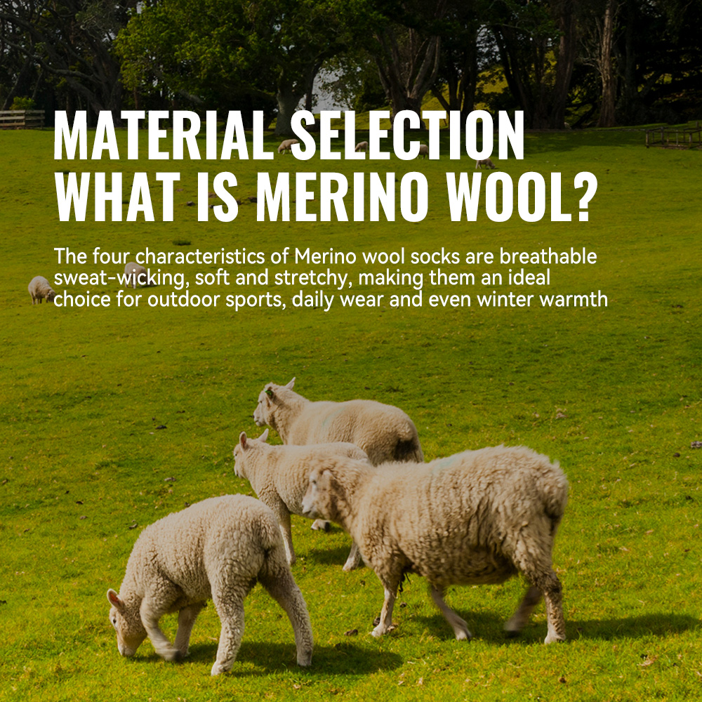 WRELS 1/2/3 Merino Wool Socks  - Thermal Sock Wool ulasan dan harga